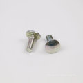 Zinc Steel Special Carriage Bolt with Garde 8.8
